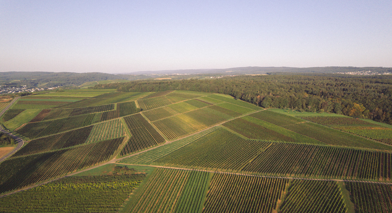 Weingut Lindenhof Windesheim · Lagen · Windesheimer Rosenberg