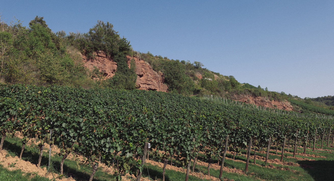 Weingut Lindenhof Windesheim · Lagen · Windesheimer Fels