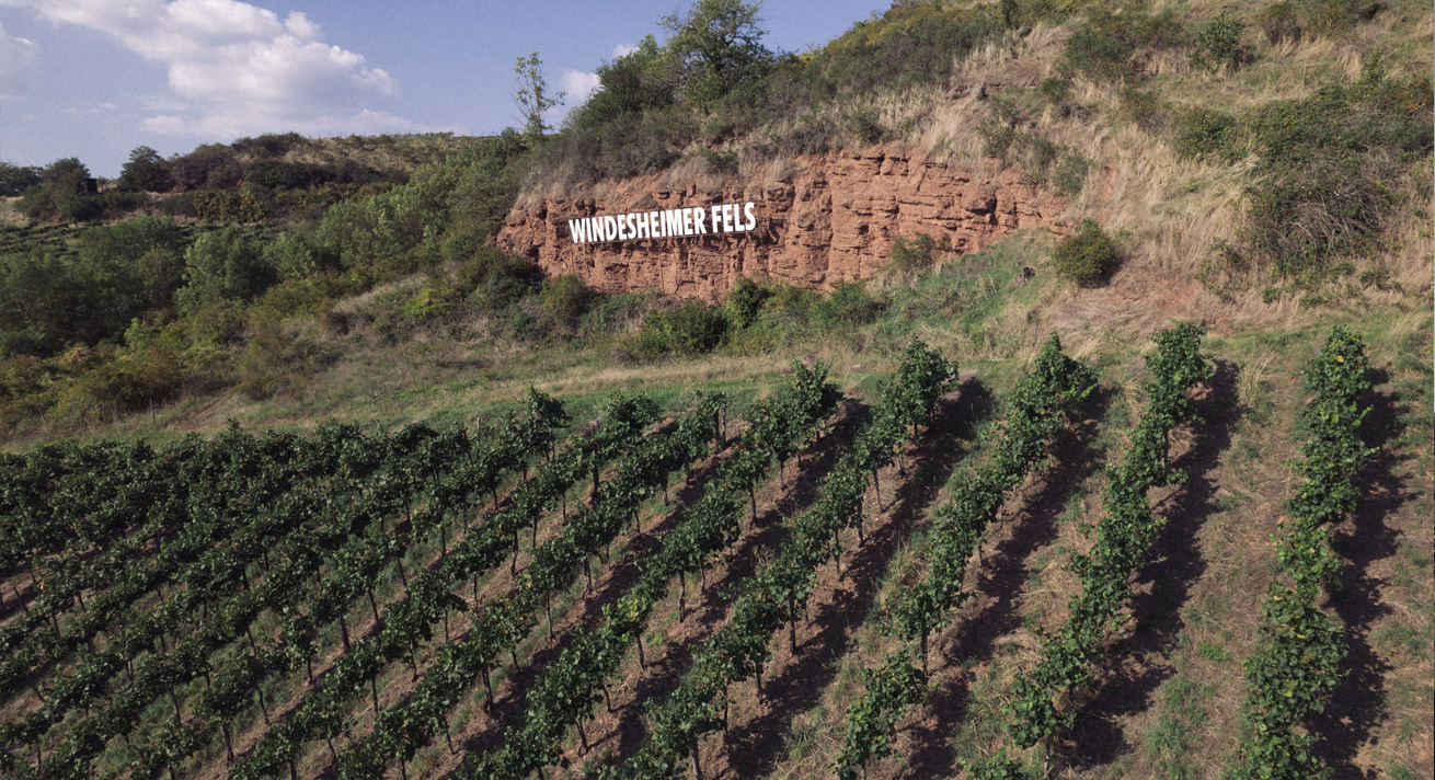 Weingut Lindenhof Windesheim · Lagen · Windesheimer Fels