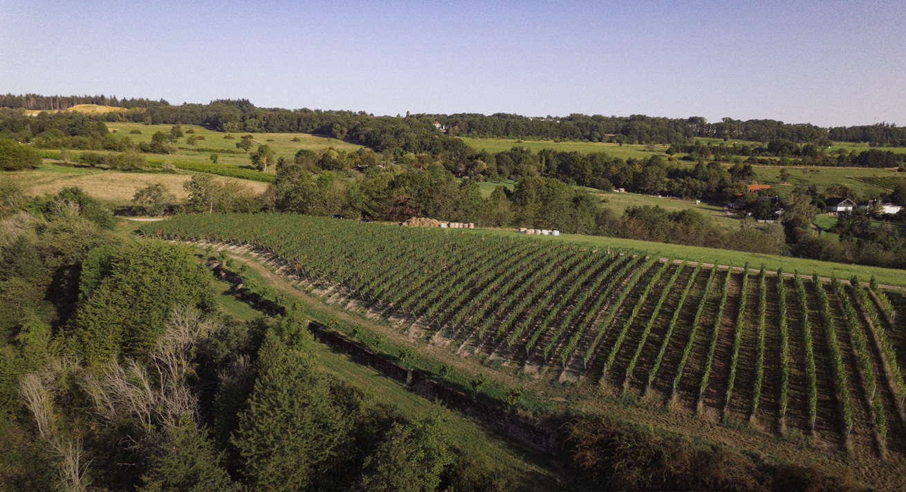 Weingut Lindenhof Windesheim · Lagen · Schweppenhäuser Steyerberg